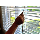 Persianas de Rolo Sacada