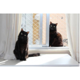 tela para sacada de apartamento Freguesia do Ó